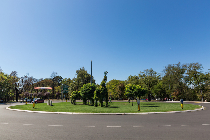 Kako su tri žirafe stigle od trnja do Topčiderske zvezde